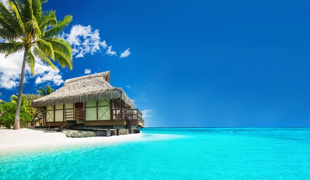 Seaview Cottage